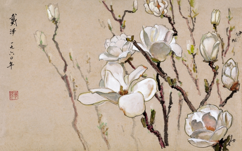 戴泽,白玉兰,1960,纸本设色 916462829654716693