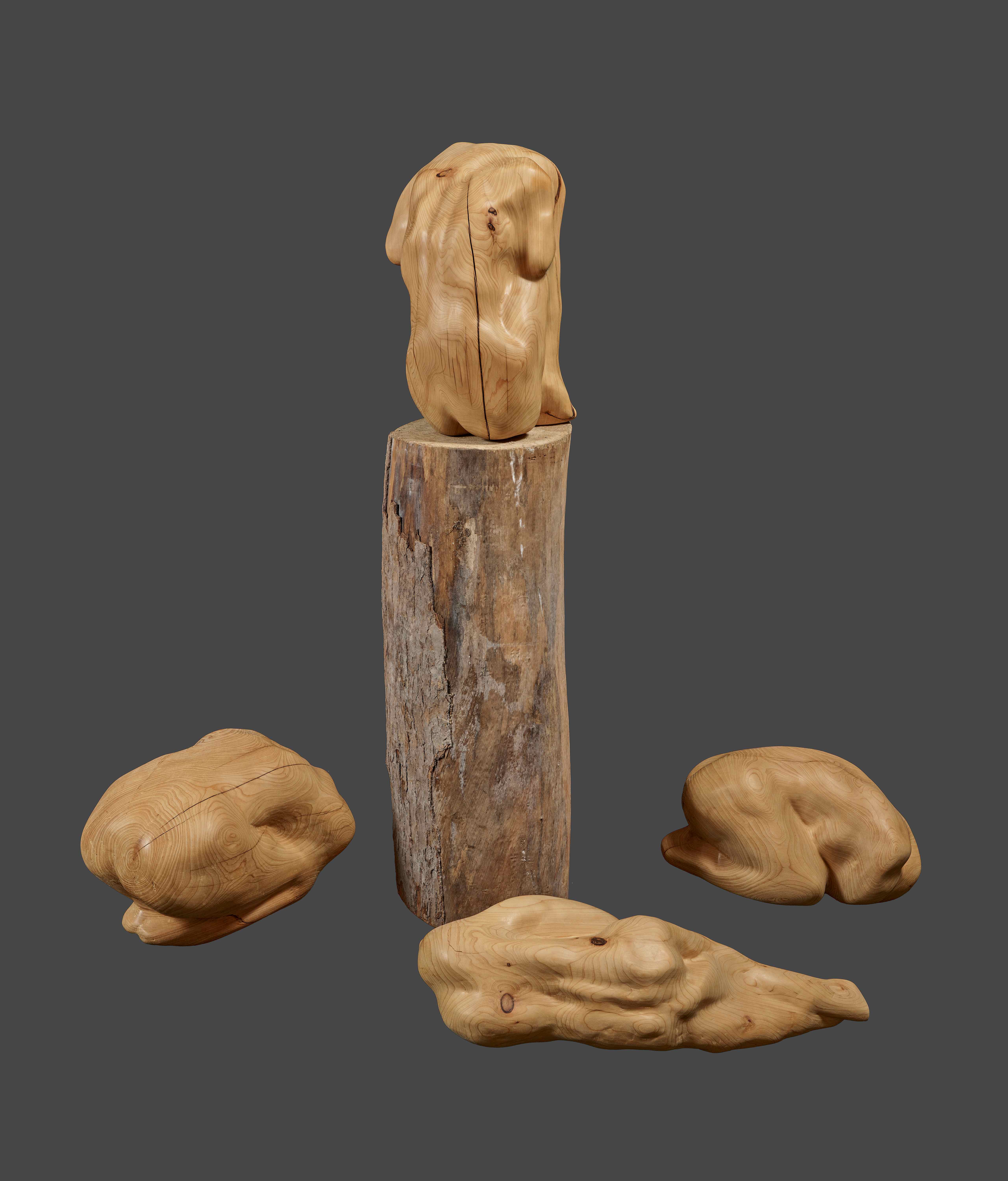 1年轮 申晓南 雕塑 150×150×120cm 2024年