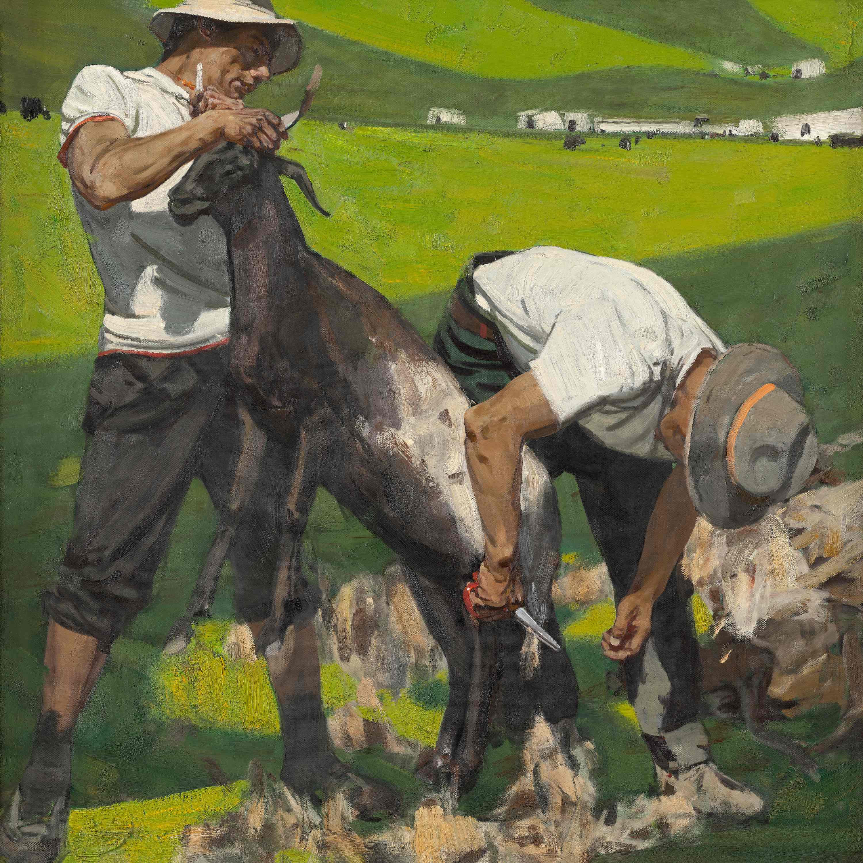 5剪羊毛 张文平 油画 150×150cm 2023年