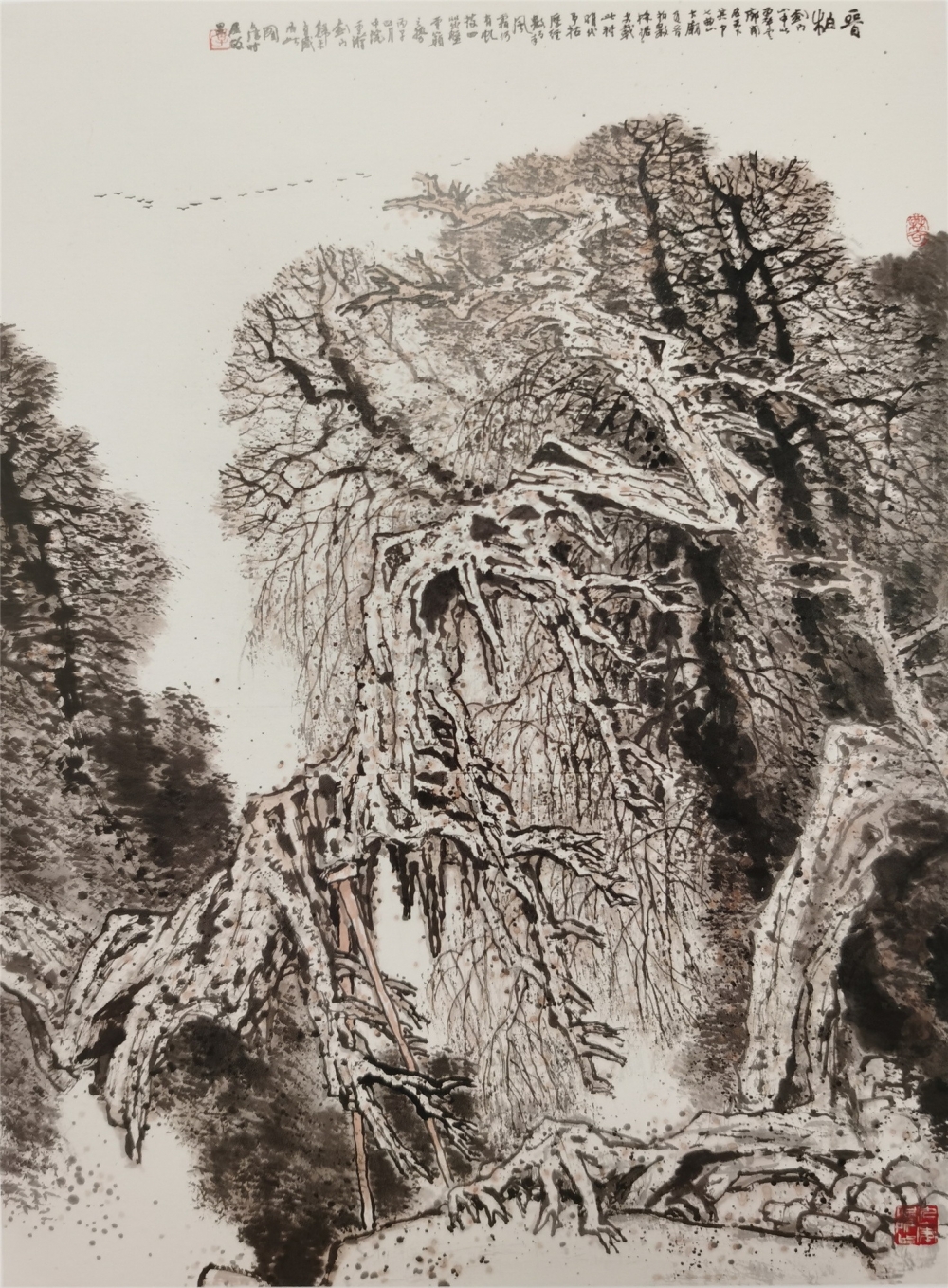 5晋柏 90x122cm 1996年.jpg 916462829654713359