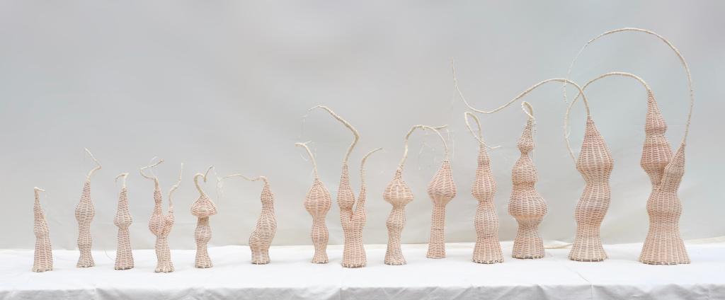 毕亚轩 根脉 200×30×60cm 2024年 藤编 四川美术学院设计学院手工艺系纤维工作室本科班